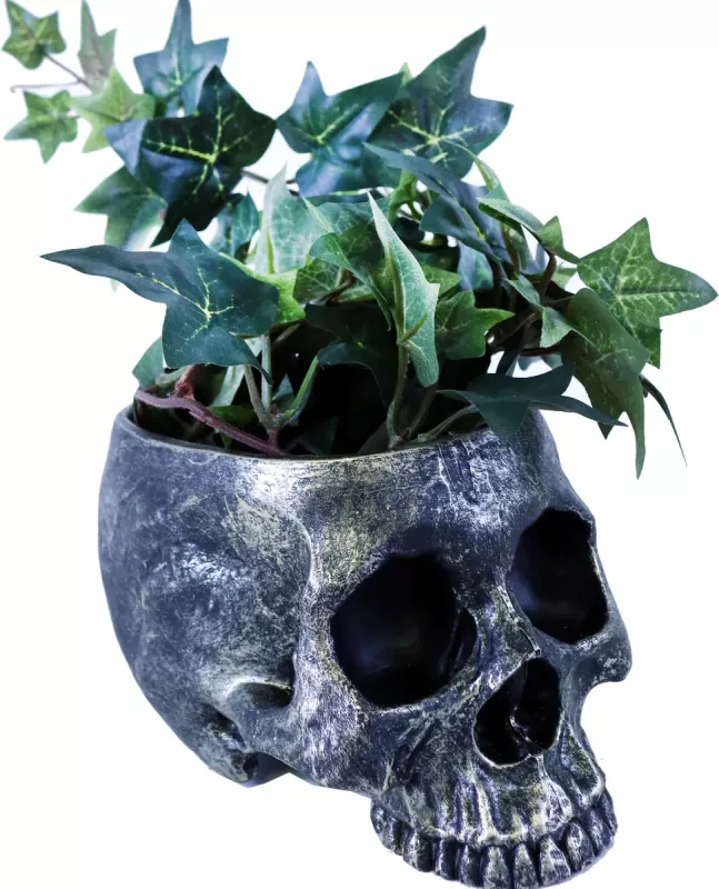 Hodeskalle Blomsterpotte