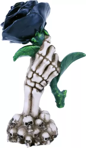 Dödskalle Svart Ros