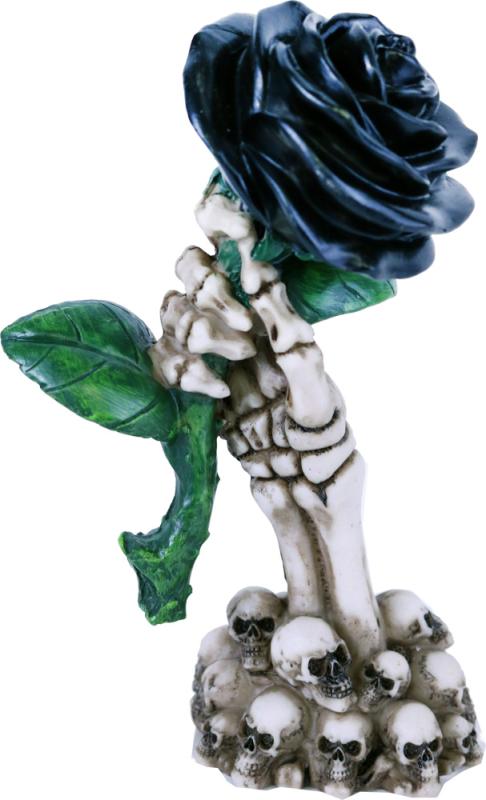 Dödskalle Svart Ros