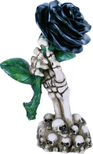 Dödskalle Svart Ros