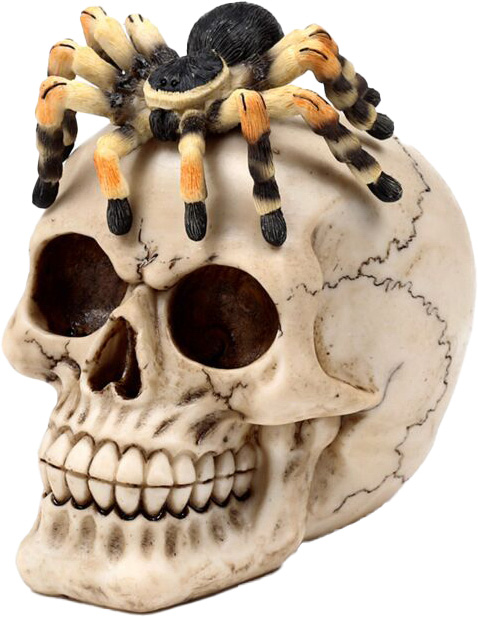 Dödskalle Tarantella