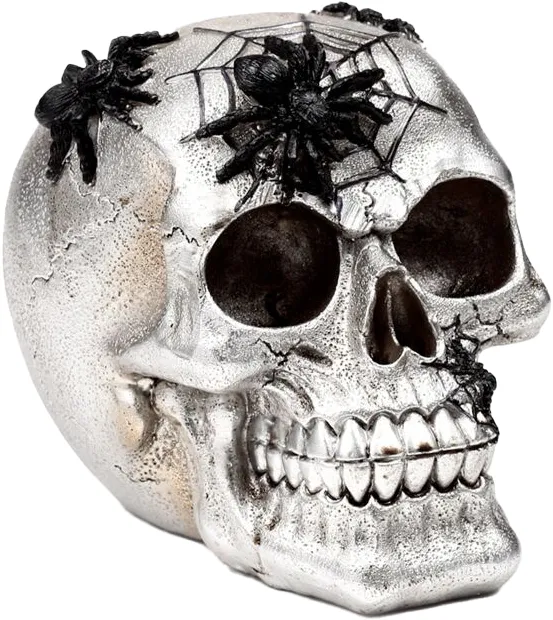 Hodeskalle Edderkopp