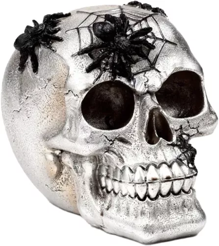 Dödskalle Spindel