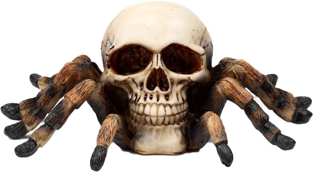 Dödskalle Spindel