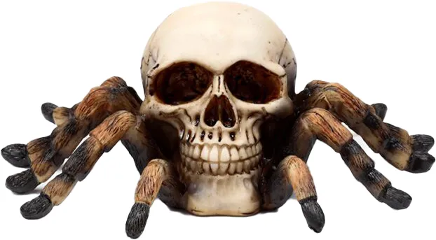 Hodeskalle Edderkopp