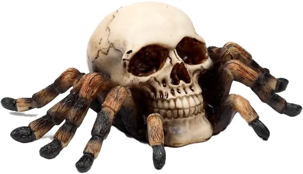 Hodeskalle Edderkopp