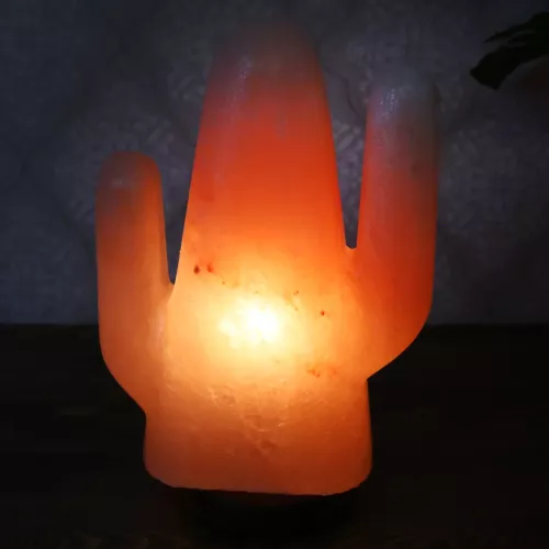 Saltlampa Himalaya Cactus