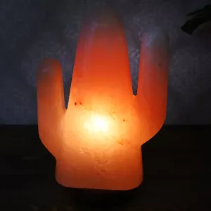 Saltlampa Himalaya Cactus