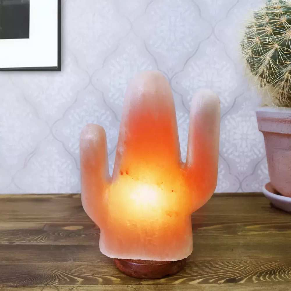 Saltlampa Himalaya Cactus