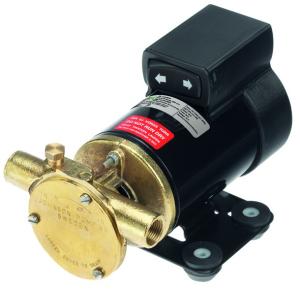 PUMP 21L/MIN 12V OLJEBYT