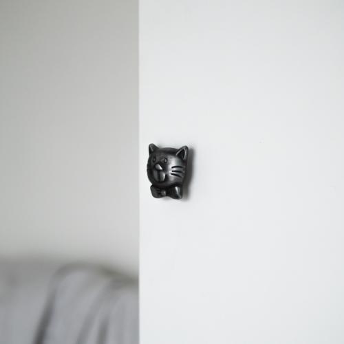 Knopp Katt Barnrum
