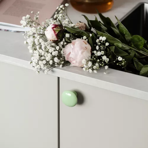 Cabinet knob Mint