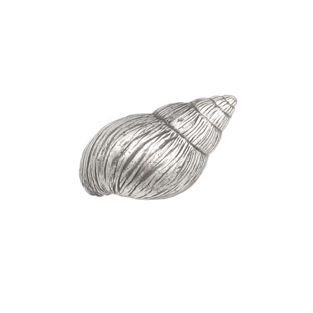 Knott Tennfarget Snegle Skjell Hav