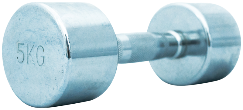 TITAN LIFE: PRO CHROME HANTEL 5kg