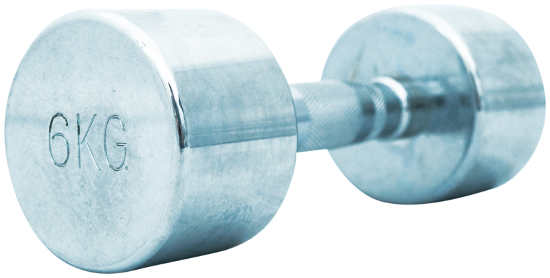 TITAN LIFE: PRO CHROME HANTEL 6kg