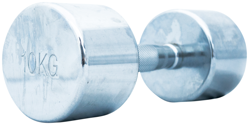 TITAN LIFE: PRO CHROME HANTEL 10kg