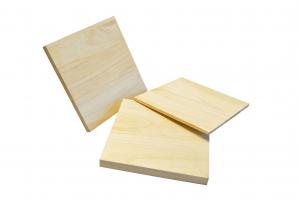 PX: 10PC SET OF WOODEN BREAKING BOARDS