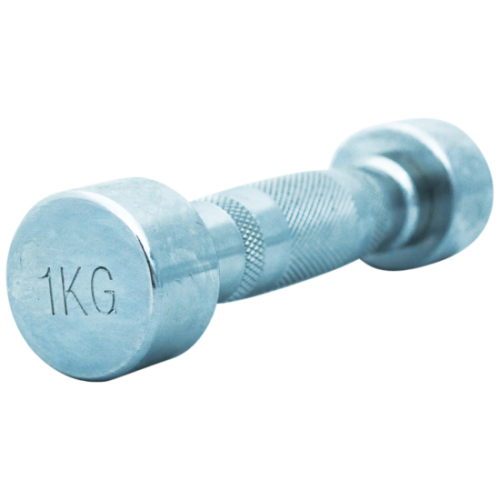 TITAN LIFE: PRO CHROME DUMBBELL 1 KG