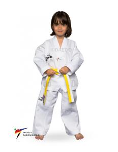 DAEDO: WT TAEKWONDO BEGINNER