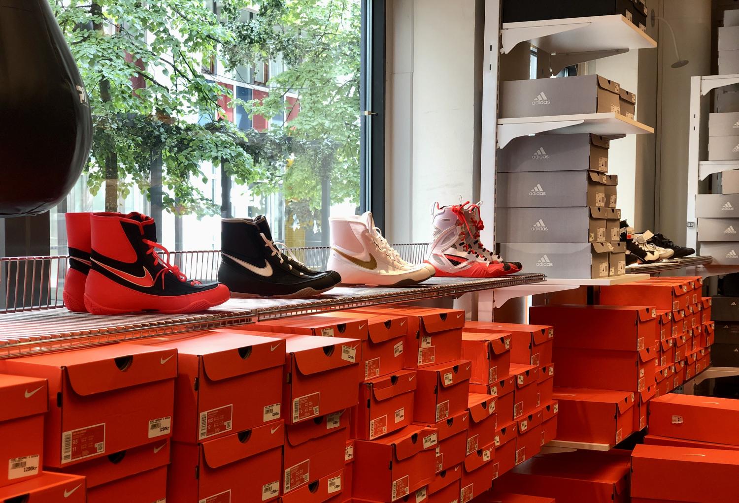 En guide för skor inom kampsport och träning.