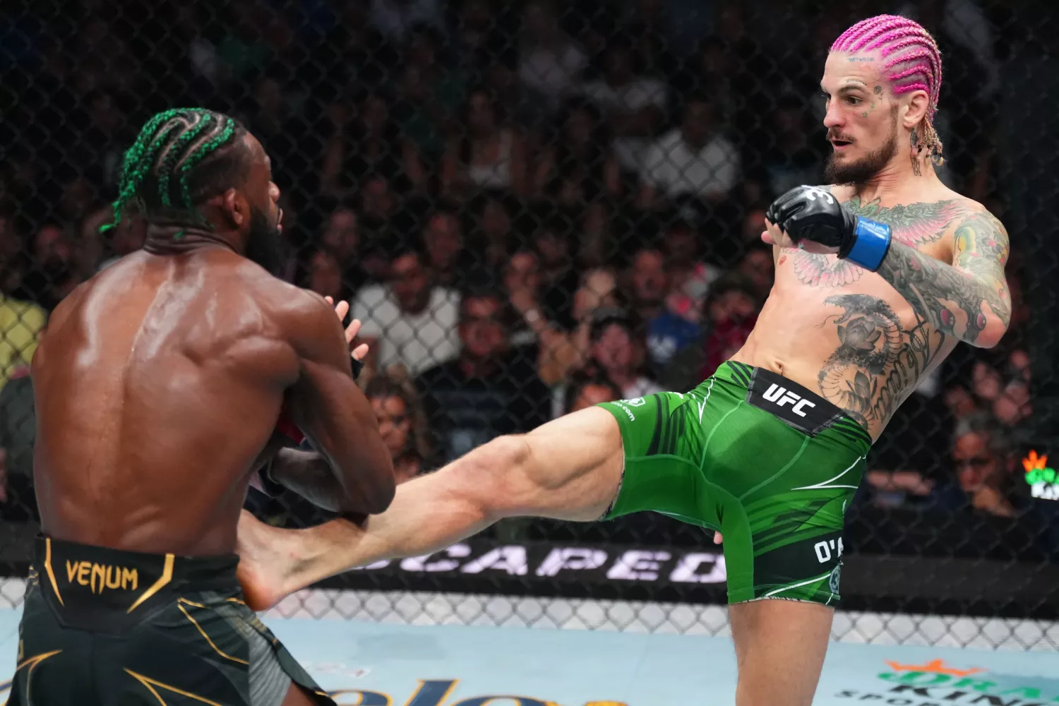 En guide för shorts inom kampsport.