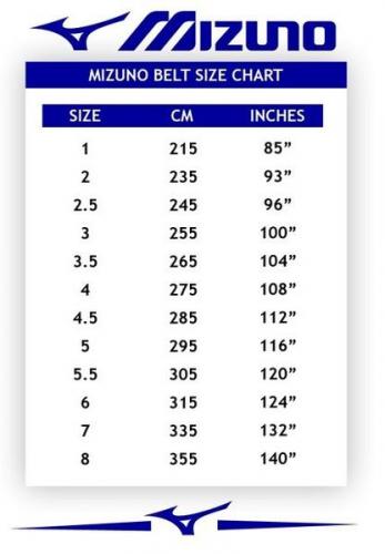 MIZUNO: BRUNT BÄLTE