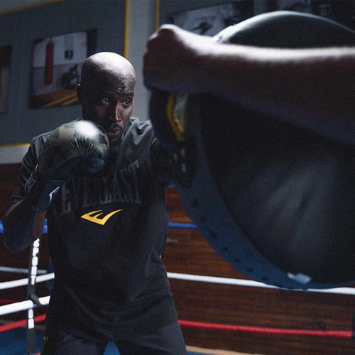 EVERLAST: PUNCH SHIELD