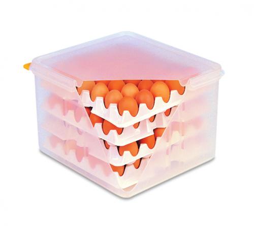 Eggs box gn2/3 w/8 trays white