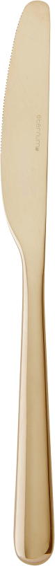 Dessert Knife Mono Soft Mat Champagne