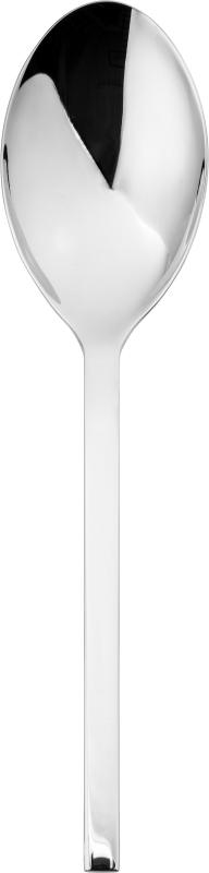 SERVING SPOON GALAXY