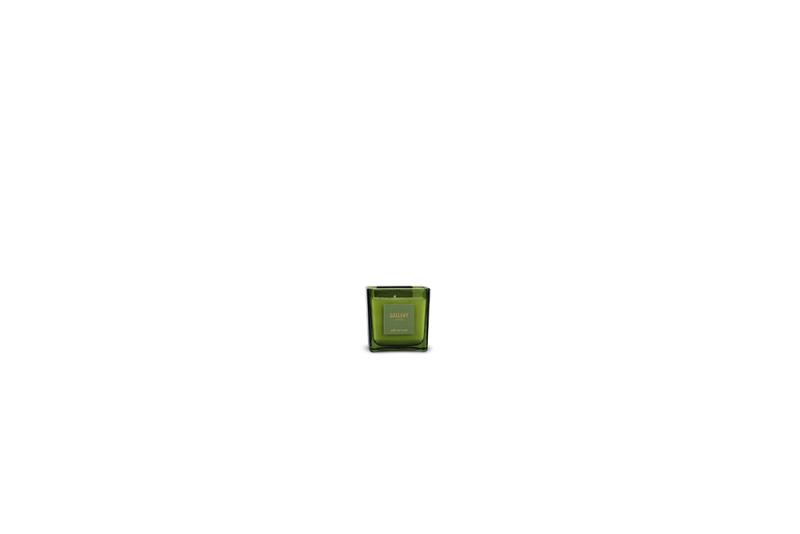 Scented candle 220g Forest Gallery