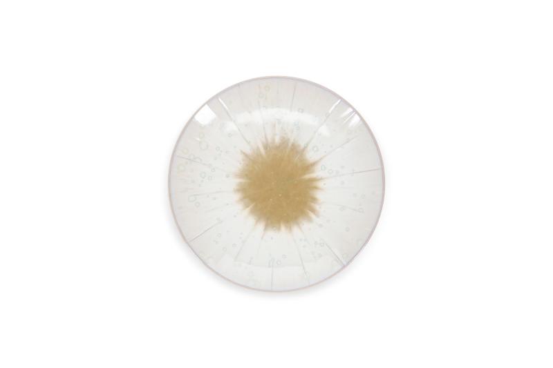 Plate 18xH3,5cm white Eclipse