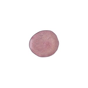 Blush Sonnet Flat Plate 15 cm