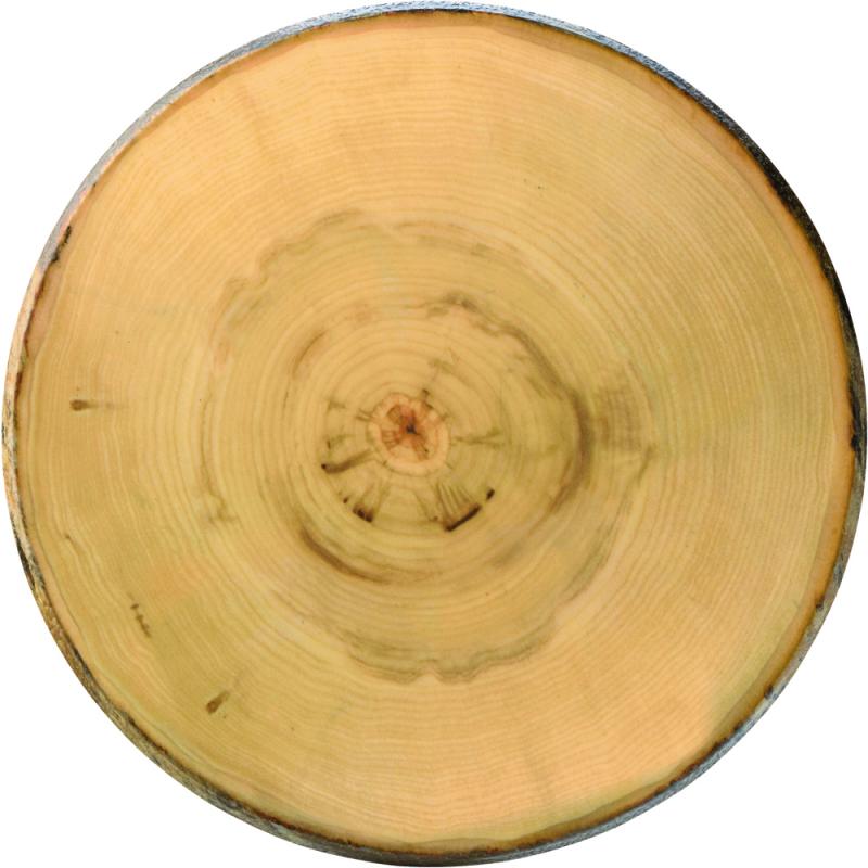 Elm Footed Round Platter 13.5´ (35cm)´