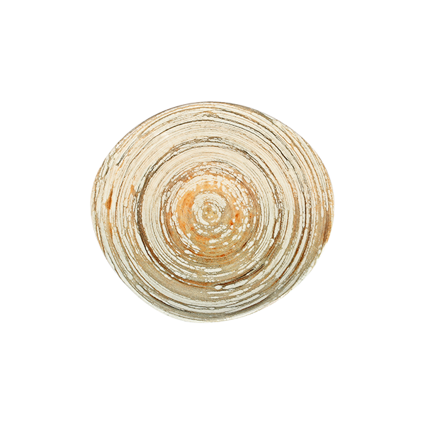 Swirl Sand Pebble Flat Plate 21 cm
