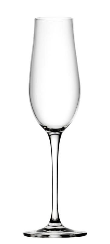 Tigris Flute 8.25oz (23.5cl)