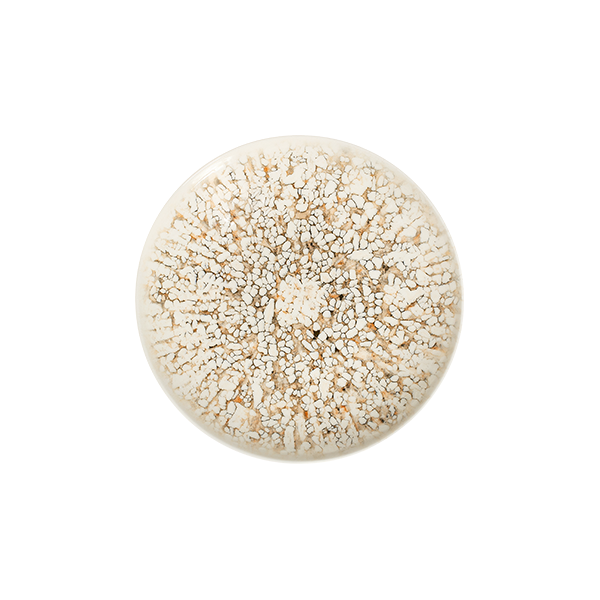 Mosaic Sand Tuval Deep Plate 20 cm 550 cc