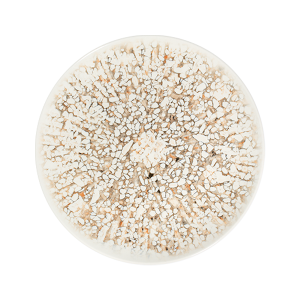 Mosaic Sand Tuval Flat Plate 28 cm