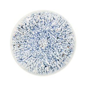 Mosaic Blue Tuval Flat Plate 28 cm