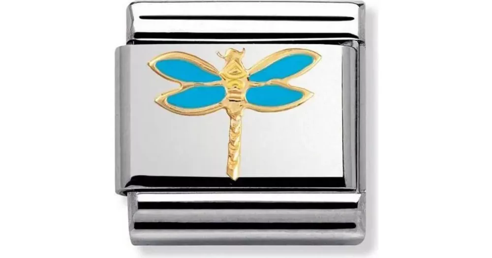 NOMINATION Dragonfly