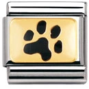 NOMINATION Black Paw