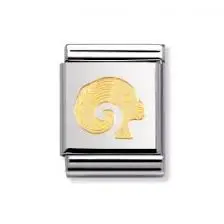 NOMINATION Big aries