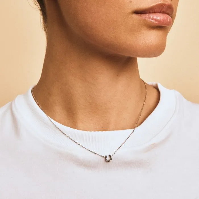 Triumph Necklace Steel