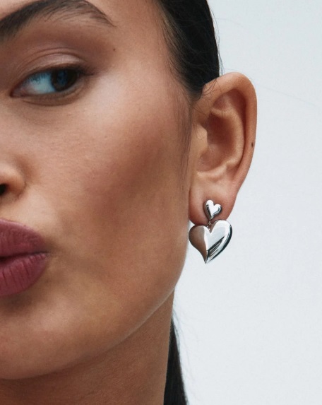 Amorina Earrings Steel