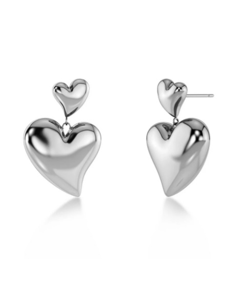 Amorina Earrings Steel
