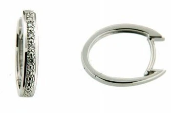 Örhänge 18K 0,04 w/p