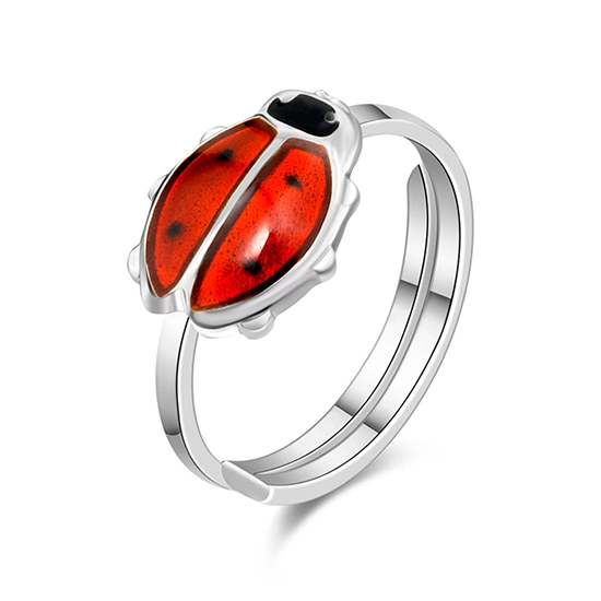 Ring nyckelpiga