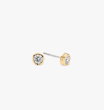 TiSento Earrings