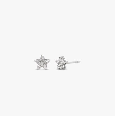 TiSento Earrings