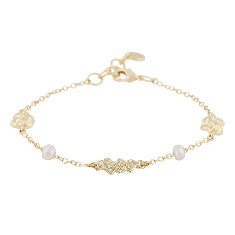 Brittany mix brace g/white